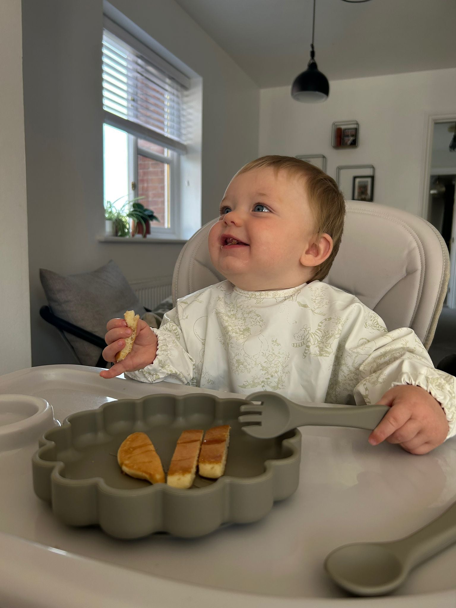 Lion Weaning Set